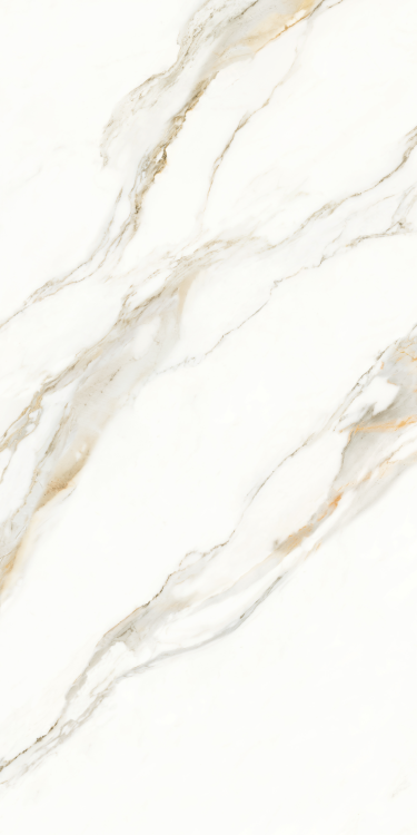 Time Lumidora Polished 24 x 48